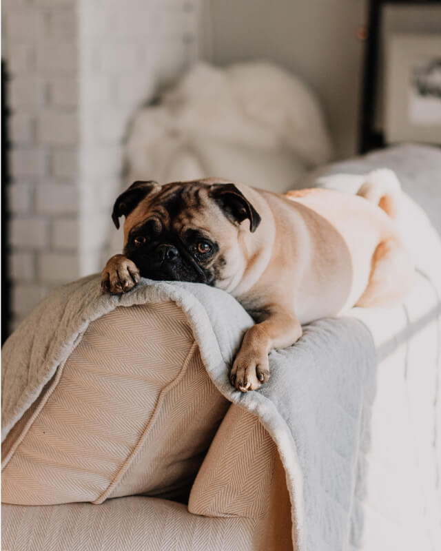 formulario de contacto